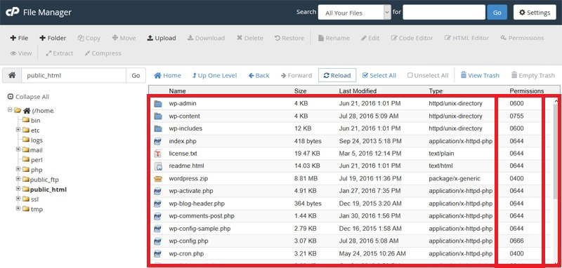 نحوه تغییر سطح دسترسی فایل ها و پوشه های وردپرس در Cpanel