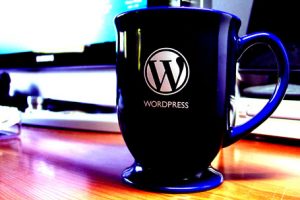 wordpress1